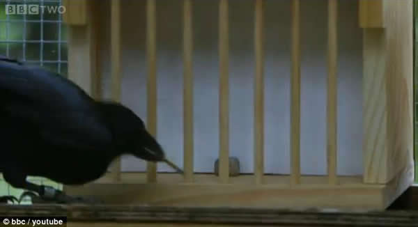 007ʹ�ö̹����������ռ�ʯ�ӡ�