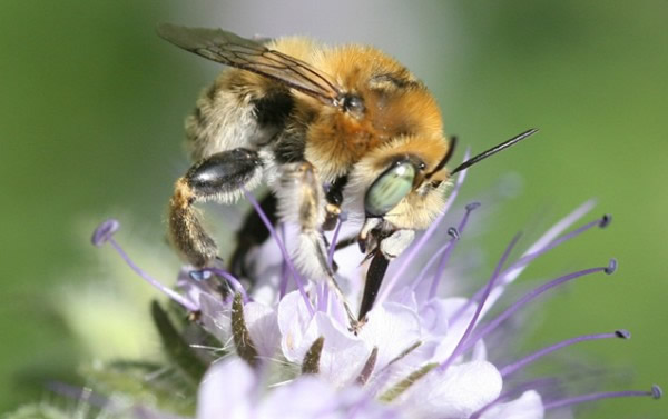 Ϊ���۷俴��ɭ��