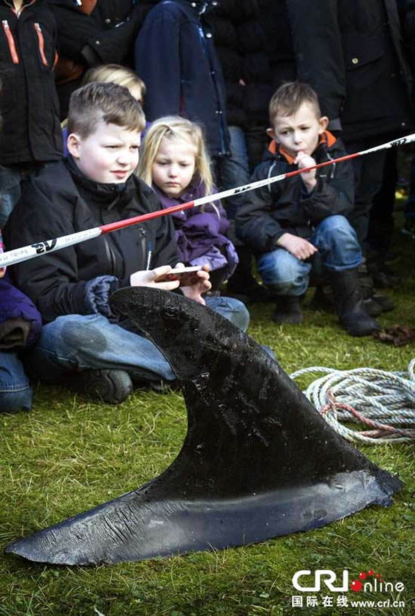 ����ˮ��ݹ������ʸ�ǳ����