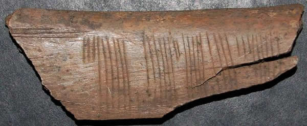 �о���Ա�ҿ�ά������һ��ľͷ�����µ����ش���