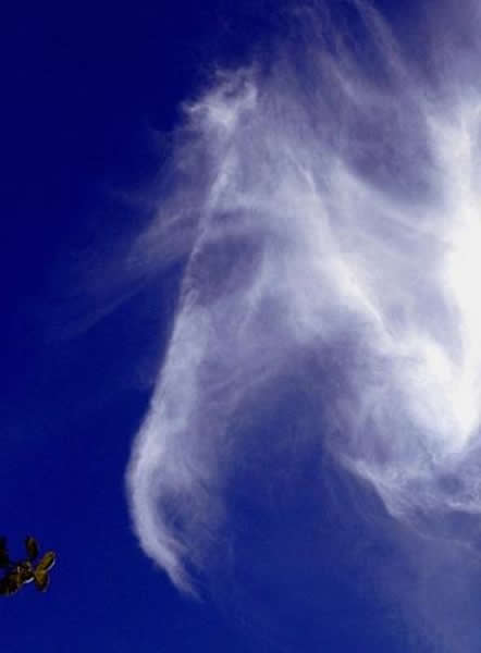 这是从威尔士彭布洛克郡上空经过的一片酷似一匹马的云彩。