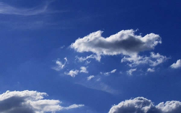 这是一片老鼠形状的云彩。