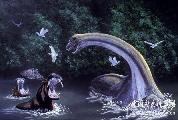 Mokele-mbembe����ͼ
