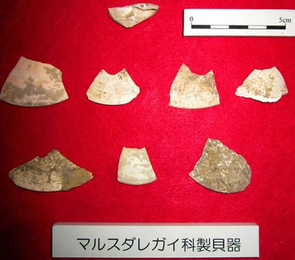 日本国内首次发现旧石器时代的贝类工具