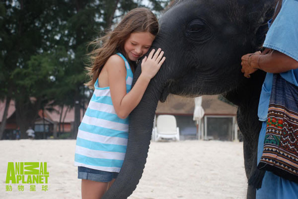 小象预感天灾领8岁女童逃过2004年南亚大海啸