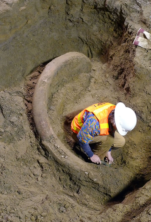 ��������ѱ����������˲���ݣ���Ϊ��������������ղ�Ʒ֮һ��