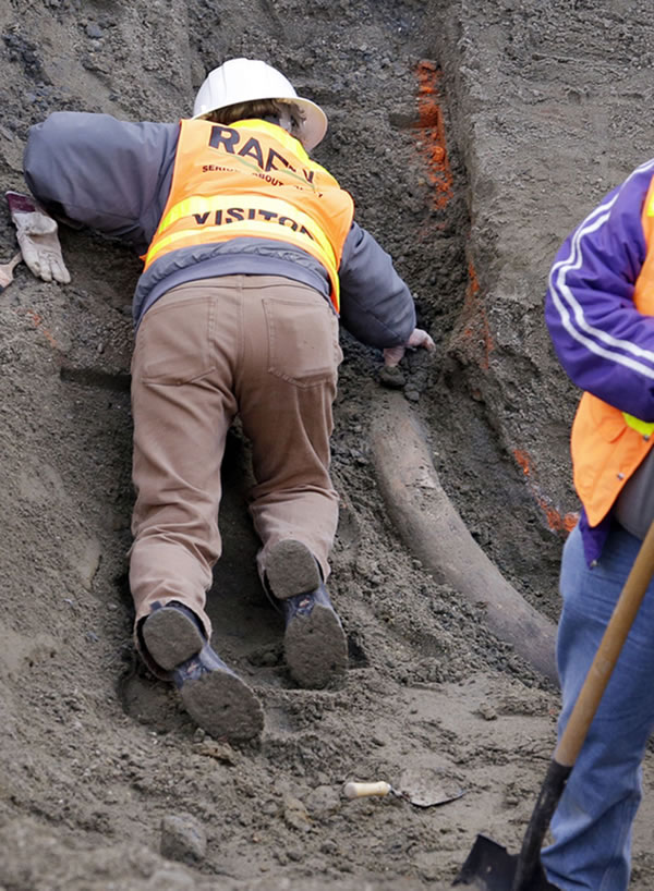 һ��������ѧ�߳ƣ������������ʷ��2.2���굽6����֮�䡣