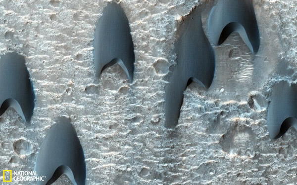 ����ɳ���γ�ʤ������