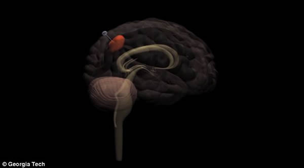 �¼����ɽ���ϸ��������������