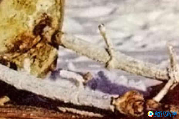 宇宙954卫星坠落加拿大地区,造成地面人员受到核辐射的威胁