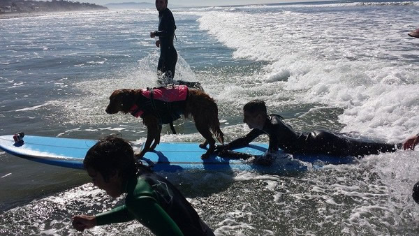 ����15���԰���������ˣ�������Բ��