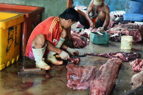 印尼外南梦,当地民众捕杀鲨鱼。