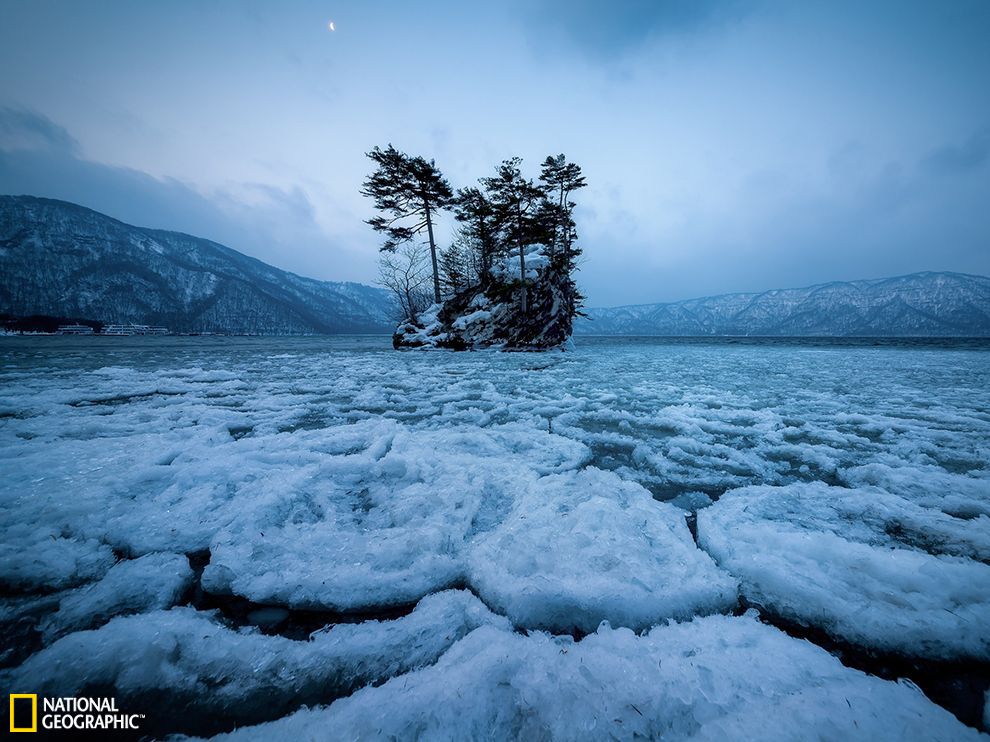 �ձ���ɭ�ص�ʮ�����