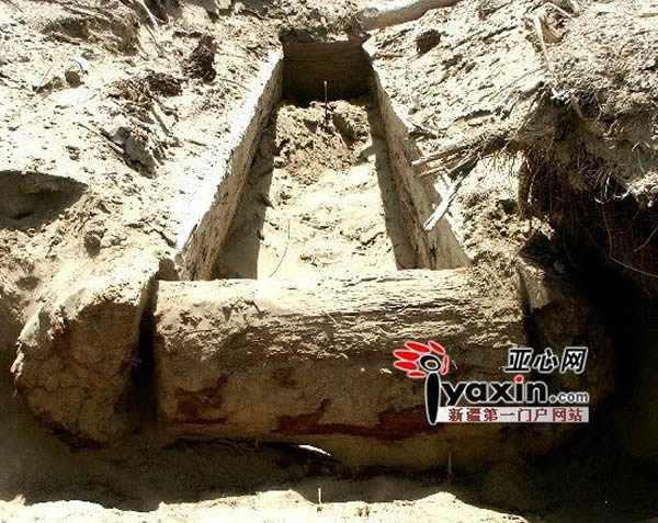 墓葬群发现的大型棺木，棺木长2.85米