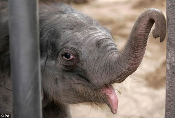 ���޴�������Լ��������������������˵�ͬ��