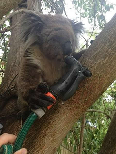 ���޿�������ұ���