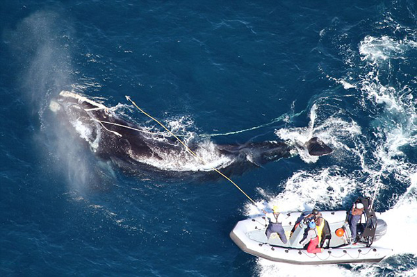 ݺһͷ85׳ҵߵıΣ¶