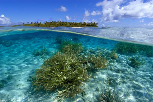 太平洋中部诺克斯环礁遭台风卷走百年后再“复活”