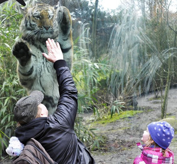 �¹��������•�������˶���԰�ϻ����ο͡����ơ�