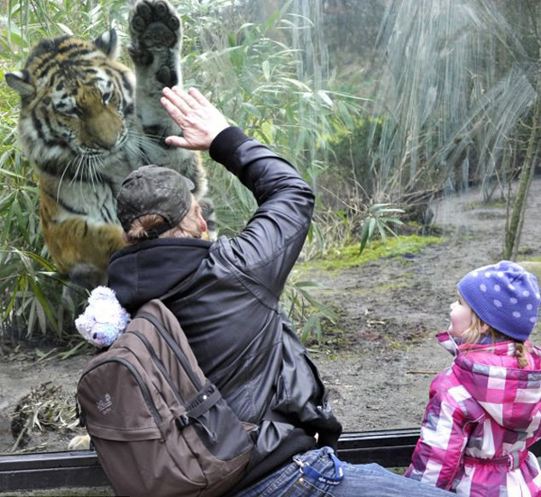 �¹��������•�������˶���԰�ϻ����ο͡����ơ�