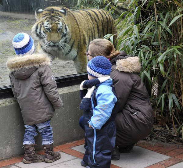 �¹��������•�������˶���԰�ϻ����ο͡����ơ�