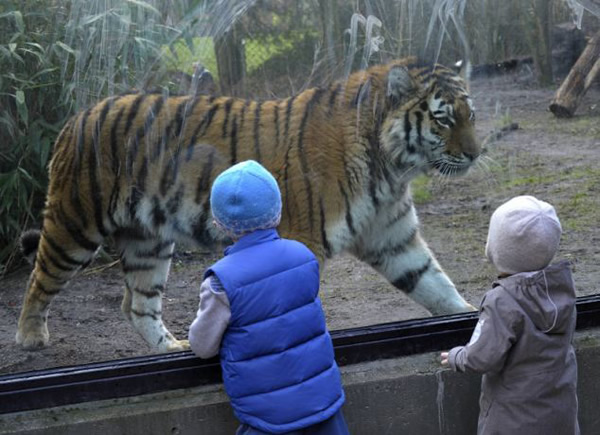 �¹��������•�������˶���԰�ϻ����ο͡����ơ�