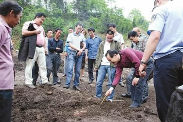 专家实地勘查现场