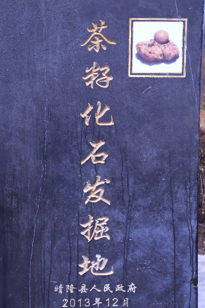 ǭ��������¡�أ�30����ǰ����Ψһ�İ�������ѻ�ʯ������