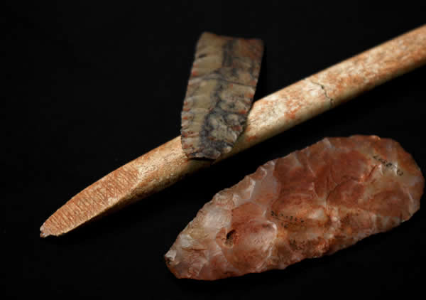 Clovis complex是在北美广泛分布的一个考古文化