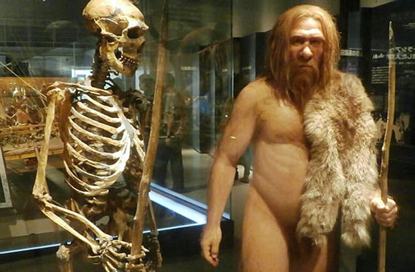 Neanderthals Faced Extinction Before Humans Appeared