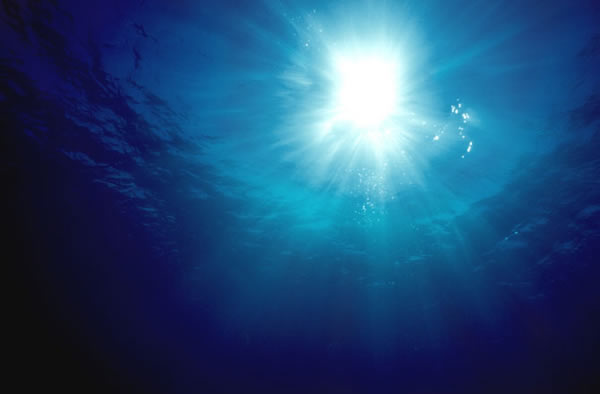 A newly discovered underwater site was in fact some sort of a dump in which noma