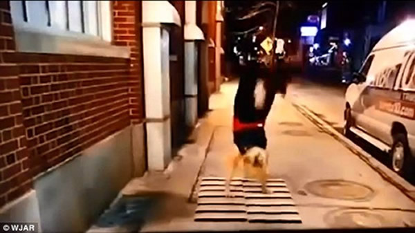 ����һ���ڽ�Ŀ����ʾ��������ܹ�����Ů�����˱���