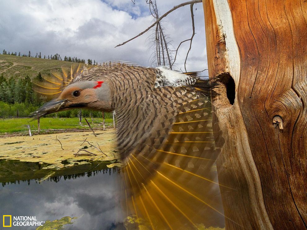 ���ô����յ���һֻ���˳���