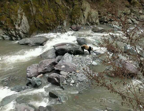 ڻϤº󣬵һʱˮȻȡϵ7㣬ҰﱣʦΤǳƣĿǰδӵ֪ͨнӵ棬Ƕһʱ