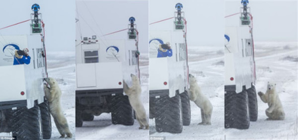 ������Ա������ʱ��һֻ�����ܾ�Ȼ������ס���㳵�������ڡ����Ͼ�����