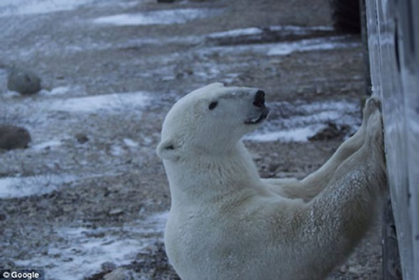 ��ֻ�����ܶ����㳵���û�����Ķ����ǳ����档