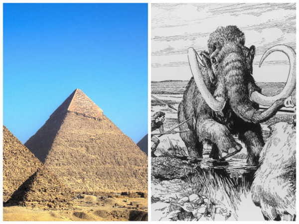 吉萨金字塔修建时，长毛象还活着