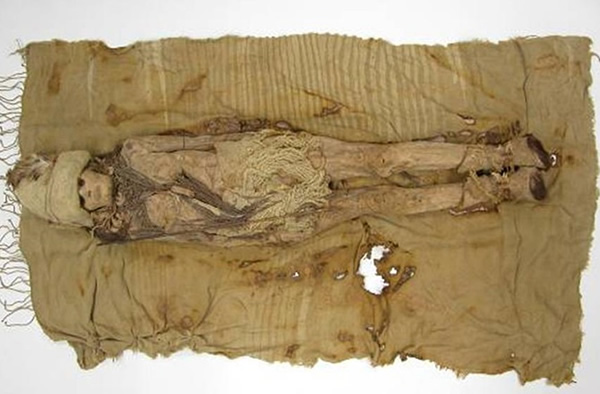 A full-body view of the 