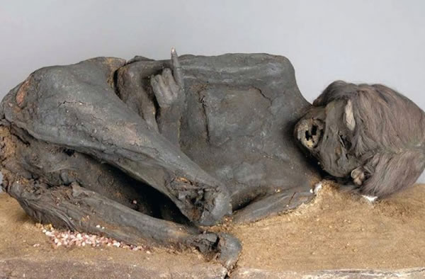 An Incan mummy was sitting in German collections for more than a century.