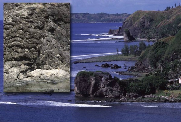 ���о���ʾ����44������ʷ�Ļ�ɽ�����ǵ����һ��������Ĳ�����