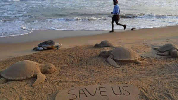 ӡ�Ⱥ�̲��900��ֻ�����꣬��Ϊ�����洬�Ƿ��������¡������������ˡ��Ⱦ����ǡ�������