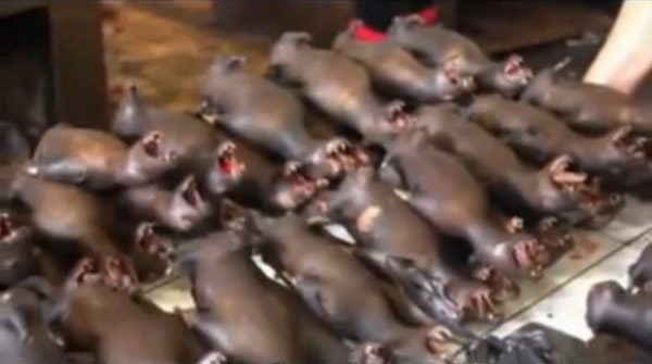 ӡ�ᱱ����������ͳ�г��Ļ𿾶���