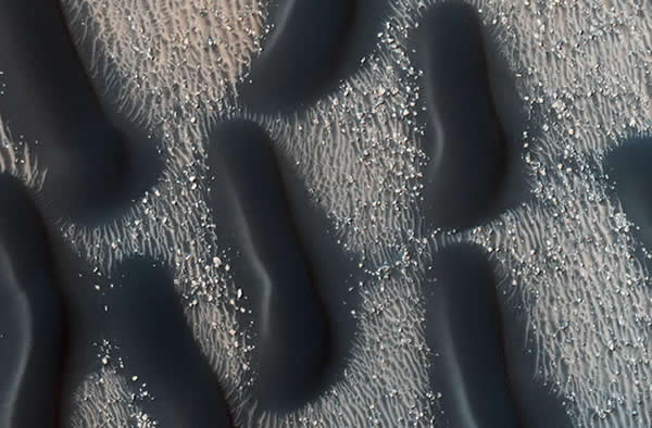 ͼ����������һ���İ�ɫɳ�𣬳���Բ�Σ�������ϸ�����ʾ��зǻ����棬��Щɳ����������ɳ����ȣ����о��״�ṹ��������Proctor�ɿӵײ������ǵ���ɫͨ�����ܱ���