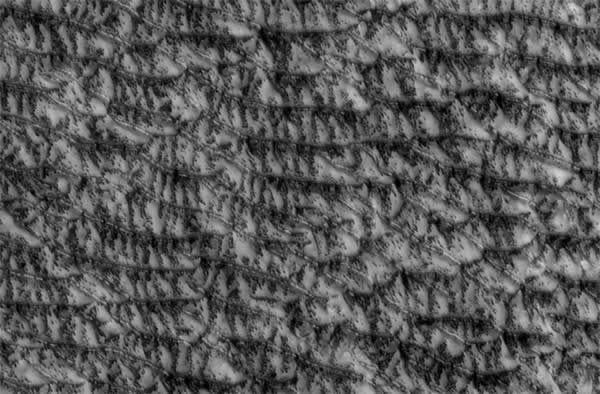 ͼ���ǡ�����ɳ�����ھ������ڱ仯���ܿ��ܽ�������ļ�����ɳ�����������������˪�ߵ㣬����˪�ӹ�̬ת��Ϊ������ɳ�����ʽ����ֳ���ɫ��