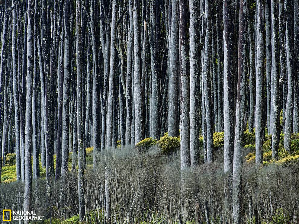 ����������ϣ����Ĭ�����Ų��ص�½����