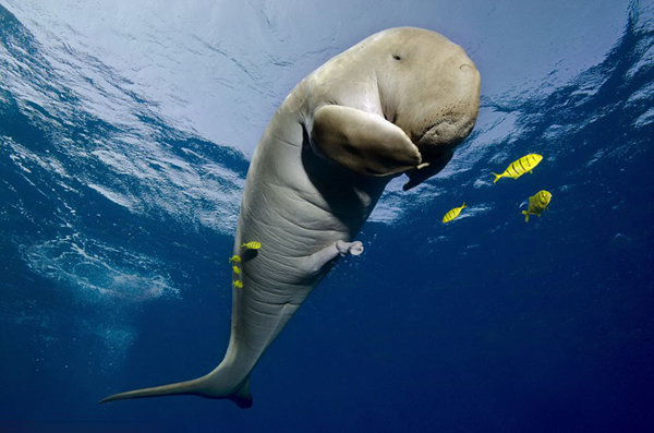 ����ˮ����Ӱ����������Ʒ