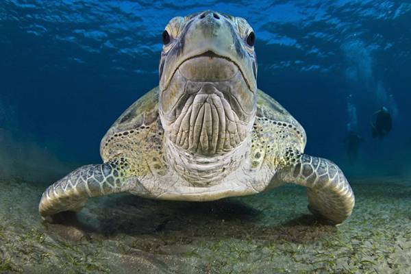 ����ˮ����Ӱ����������Ʒ