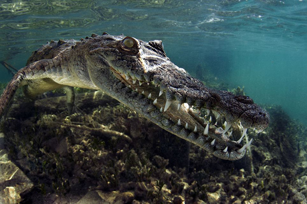 ����ˮ����Ӱ����������Ʒ