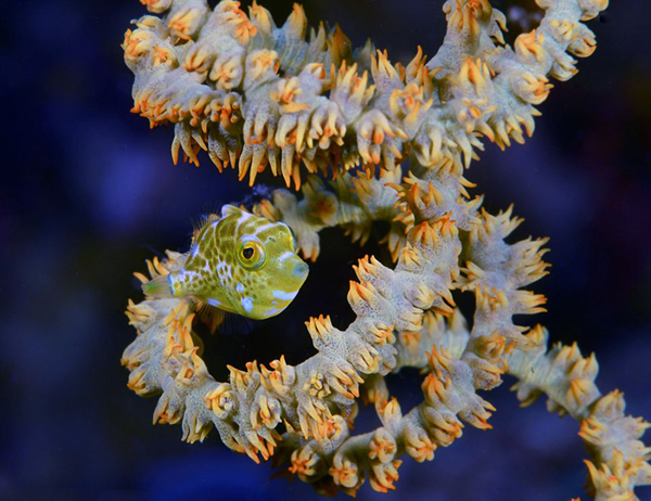 ����ˮ����Ӱ����������Ʒ