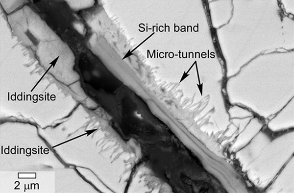 This scanning electron microscope image of a polished thin section of a meteorit